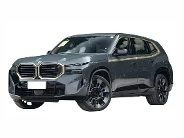 BMW XM Поколение 1